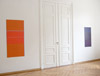 Michael Rouillard, exhibition view: seen / unseen, 2010, Galerie Kim Behm Frankfurt